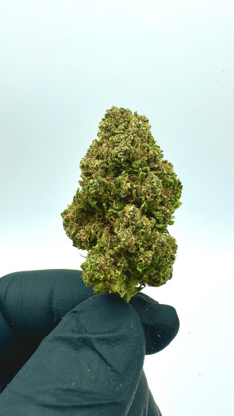 CBD Kanapių Žiedai LEMON TONIC – Gaivus Citrusinės Energijos Pliūpsnis su Natūralia Raminančia Galia